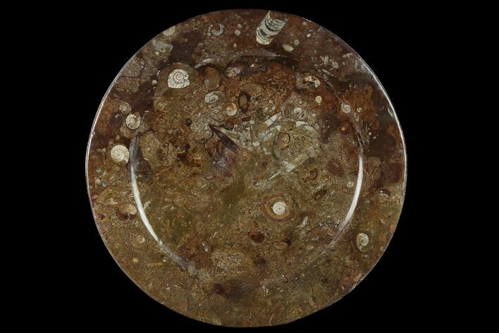 Fossil Orthoceras & Goniatite Round Plate - Stoneware #133559